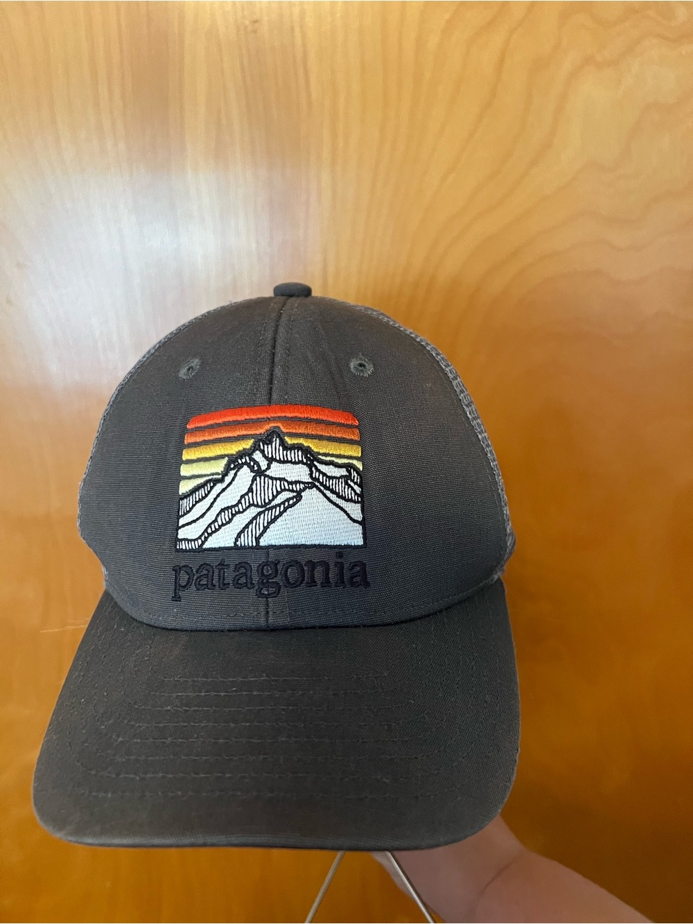 Patagonia Dark Gray Trucker Hat with Sunset Mountain Patch